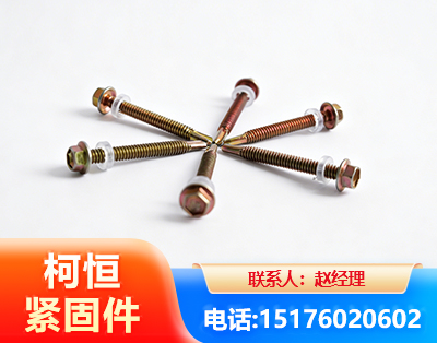 丽江六角钻尾丝
