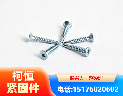丽江平头钻尾丝